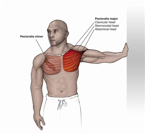 pectoralis minor injury symptoms